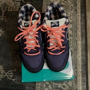 Used Purple Lobster Nike SB Dunks